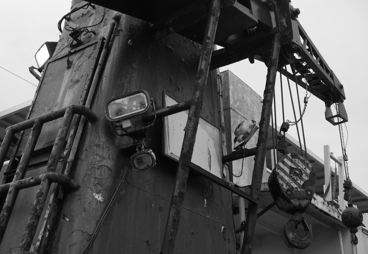 DSC_4156-NEF_DxO_DeepPRIME-1