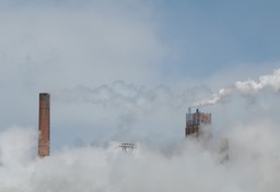 Paquebot dans la brûme 02-06