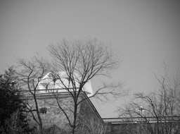 Québec 02-2021 (16)